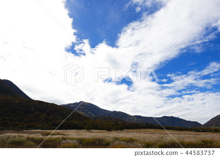 Autumn's first person Tade wetlands Autumn's first person Tade wetlands 44583737