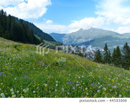 Muhlen pasture Muhlen pasture 44583806