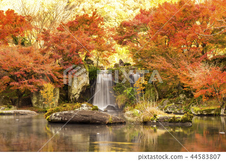 Shizukuishien 44583807