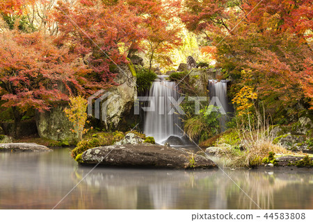 Shizukuishien 44583808