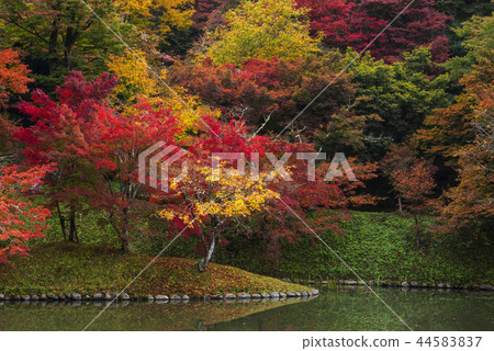 Autumn leaves of work park 44583837