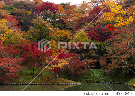 Autumn leaves of work park 44583840