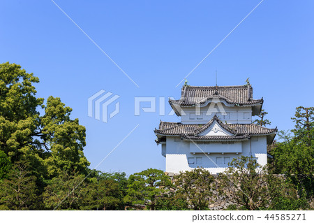 新綠色包圍的名古屋城堡 新綠色包圍的名古屋城堡 44585271