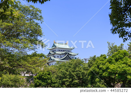 名古屋城堡以新鮮的綠色包裹 44585272