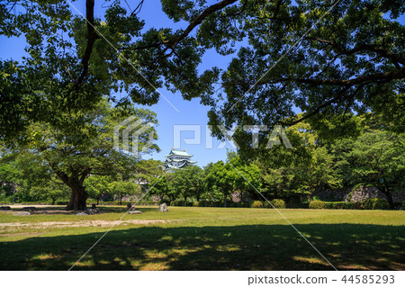 Nagoya Castle wrapped in fresh green Nagoya Castle wrapped in fresh green 44585293