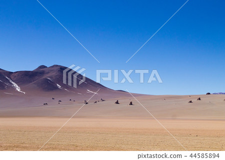 Beautiful bolivian landscape,Bolivia 44585894