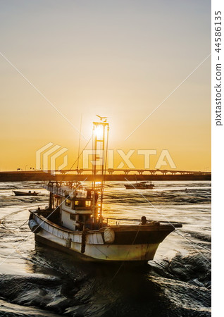 Wolgot port 44586135