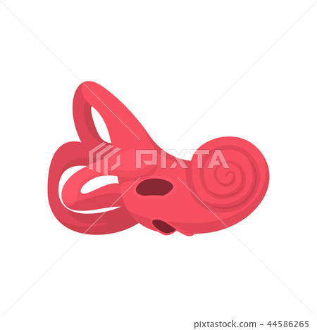 Inner ear cartoon icon 44586265