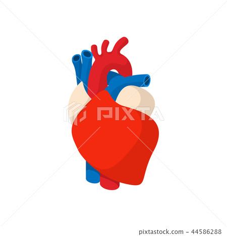 Human Heart Cartoon Icon Stock Illustration 44586288 Pixta
