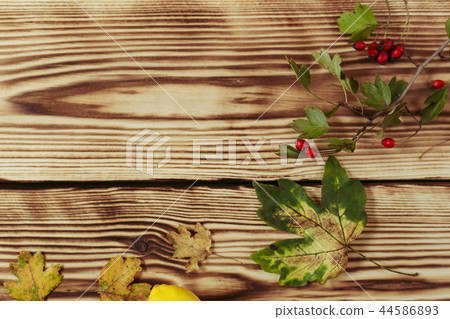 Autumn maple leaves on wooden background Autumn maple leaves on wooden background 44586893