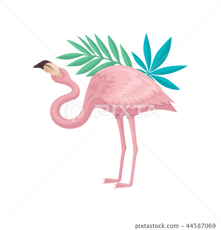 Flamingo with gentle pink feathers and green leaves of palm trees. Beautiful bird with long legs and Flamingo with gentle pink feathers and green leaves of palm trees. Beautiful bird with long legs and 44587069
