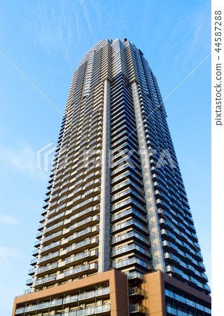 Elsa Tower 55(埼玉縣川口市) Elsa Tower 55(埼玉縣川口市) 44587288