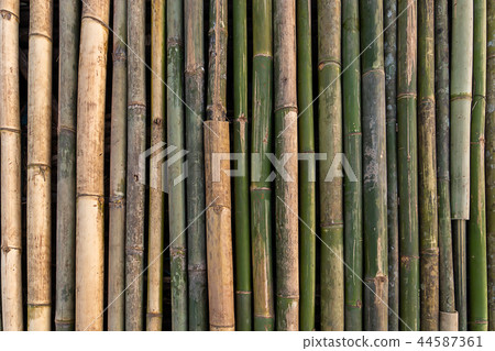 Close up bamboo floating 44587361