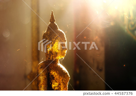 Close up the buddha Close up the buddha 44587376