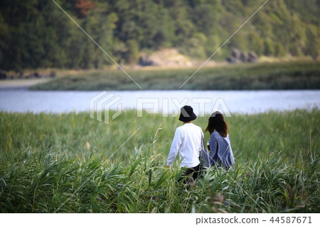 秋天,大自然,秋季景觀,蘆葦,步行方式,自然風光, 秋天,大自然,秋季景觀,蘆葦,步行方式,自然風光, 44587671