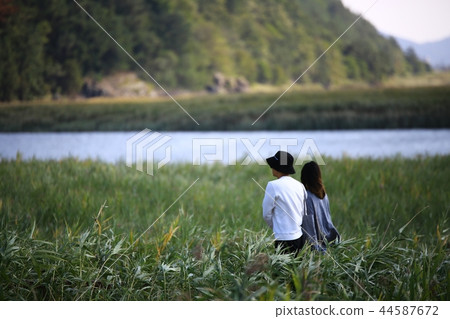 秋天,大自然,秋季景觀,蘆葦,步行方式,自然風光, 秋天,大自然,秋季景觀,蘆葦,步行方式,自然風光, 44587672