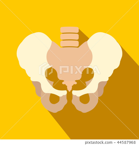 Human pelvis flat icon with shadow Human pelvis flat icon with shadow 44587968