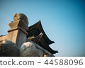 韓屋，紫禁城，戶外活動 44588096
