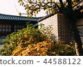 韓屋，戶外，房子 44588122