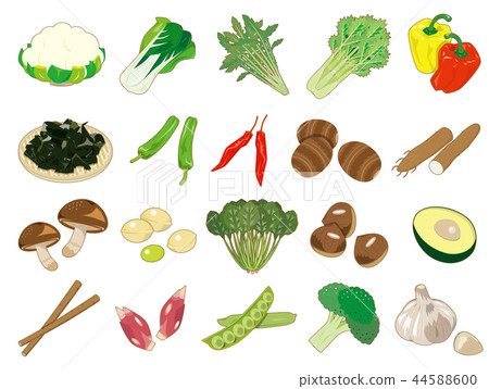 Food illustrations [vegetable icons collection] 2 44588600