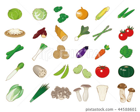 Food illustration [vegetable icons collection] 1 44588601