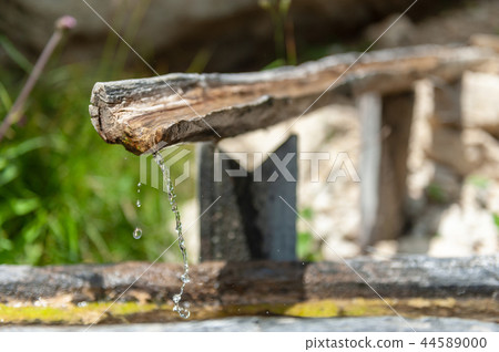 Old tree trunk being used as a through Old tree trunk being used as a through 44589000