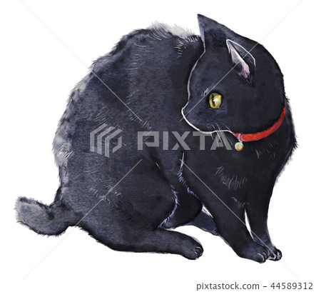 坐著的黑貓 坐著的黑貓 44589312
