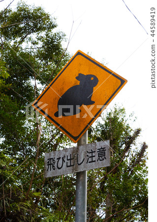 奄美大島黑兔子跳出小心路標在鹿兒島縣 奄美大島黑兔子跳出小心路標在鹿兒島縣 44589419