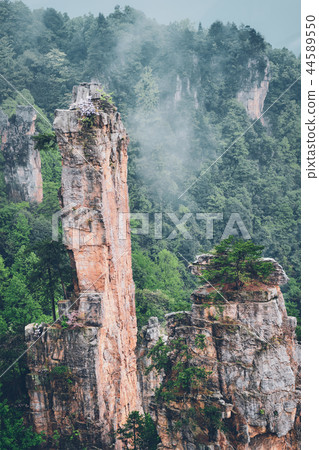 Zhangjiajie mountains, China Zhangjiajie mountains, China 44589550