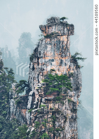 Zhangjiajie mountains, China Zhangjiajie mountains, China 44589560