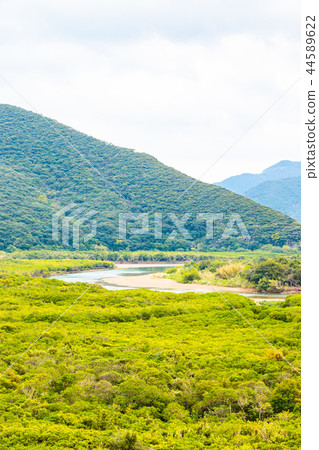 Amami Oshima Mangrove National Park Special Protected Area Amami Oshima Mangrove National Park Special Protected Area 44589622