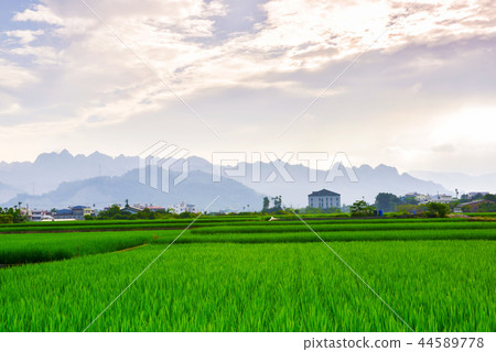 Soy-oil-like Kuwata Kazutoyama Araki Aoki Kiwa Ikan Boso. 44589778