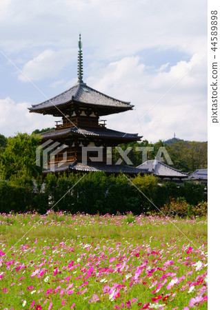 Nara Ikaruga no Sato / Autumn Hokiji 4(無人駕駛) Nara Ikaruga no Sato / Autumn Hokiji 4(無人駕駛) 44589898