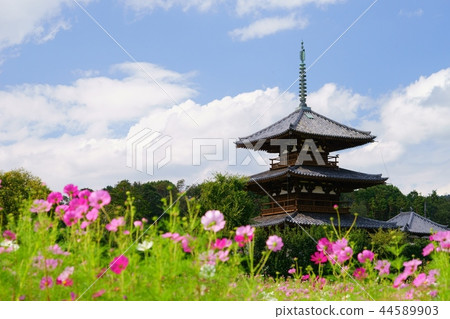 Nara Ikaruga no Sato / Fresh Autumn Hokiji Temple 5 44589903