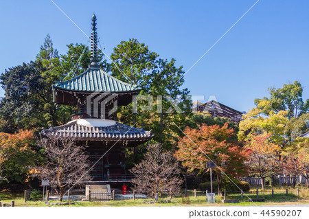 Seiryoji京都 44590207