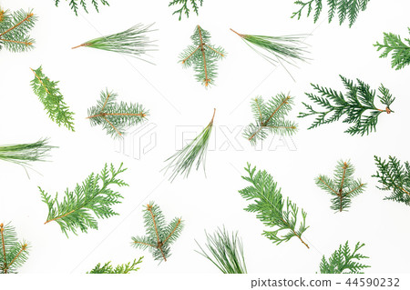 Christmas pattern of winter tree branches on white 44590232