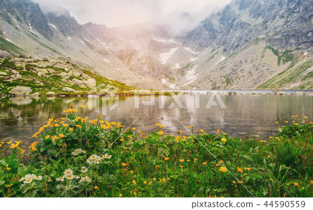 Hincovo pleso in fog at sunrise. High Tatras Slovakia Hincovo pleso in fog at sunrise. High Tatras Slovakia 44590559