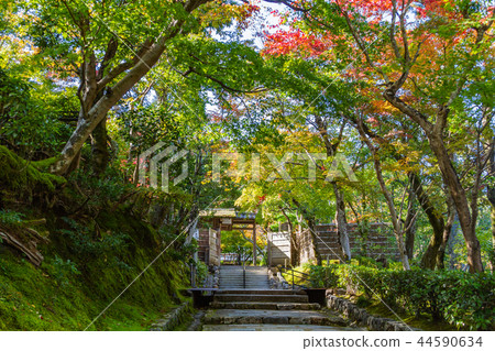 Akashino Nembutsu Temple Kyoto 44590634