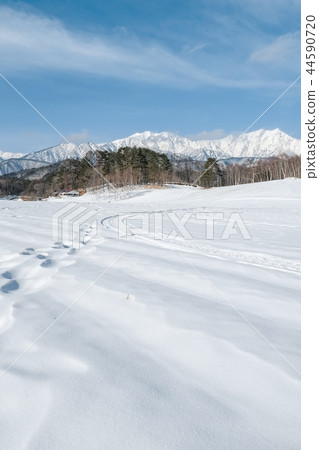Nakayama高原在冬天 44590720