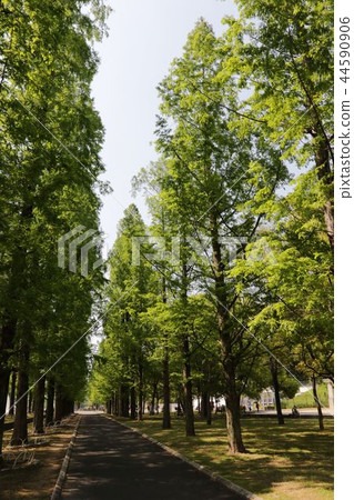 Hanafu Memorial Park Tsurumi Foodland Hanafu Memorial Park Tsurumi Foodland 44590906