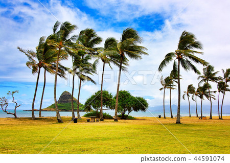 Kualoa地區公園 Kualoa地區公園 44591074