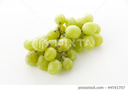 無核葡萄綠無核 44591707