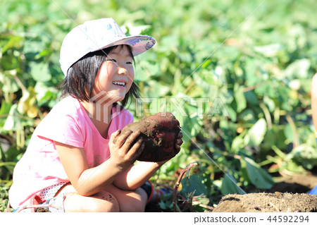 Child digging Child digging 44592294