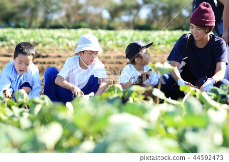 Digging with family 44592473