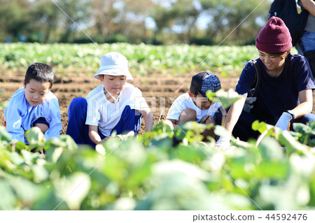 與家人一起挖掘 44592476