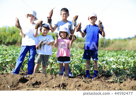 Children digging Children digging 44592477