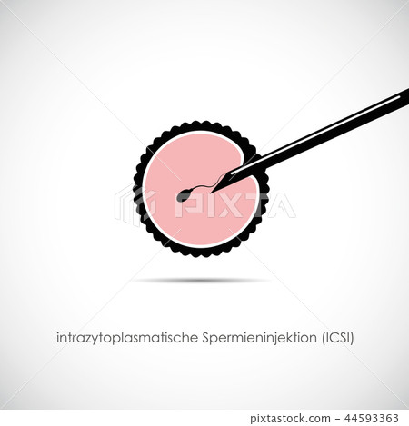 fertility reproduction of ovum and spermatozoon ICSI 44593363