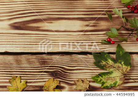 Autumn maple leaves on wooden background Autumn maple leaves on wooden background 44594995
