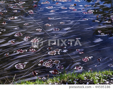 Hirosaki Park Flower Garden (Aomori Prefecture) Hirosaki Park Flower Garden (Aomori Prefecture) 44595186
