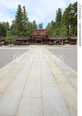 Taga Taisha Taga Taisha 44595217